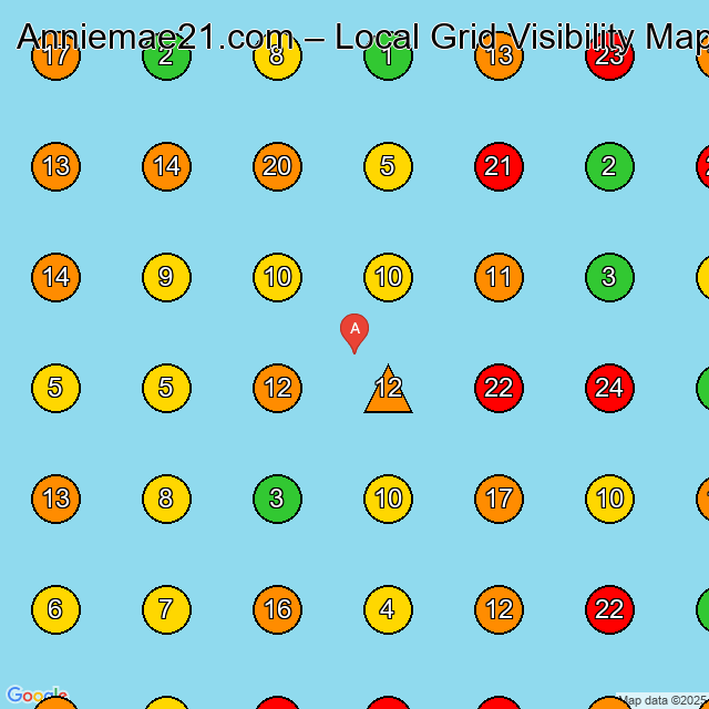 Anniemae21.com Women'S Clothing Store GeoGrid ranking map for None